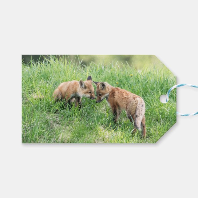 Red Fox Kits Gift Tags (Front (Horizontal))