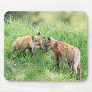 Red Fox Kits Mouse Mat