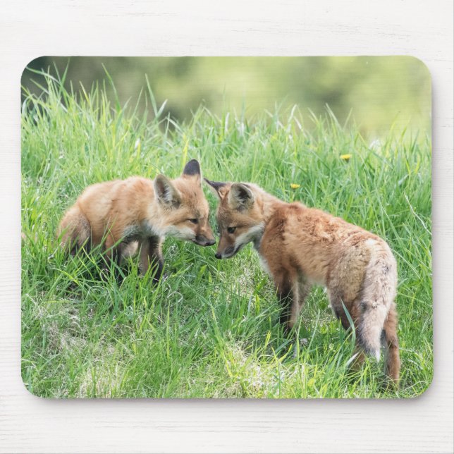 Red Fox Kits Mouse Mat (Front)