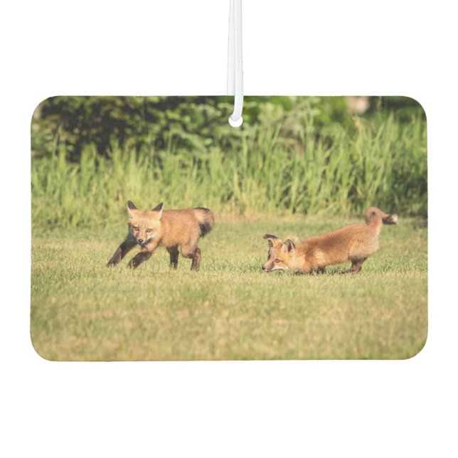 Red Fox Kits Playing Car Air Freshener (Front)