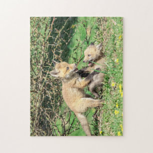 Red Fox Kits Playing Jigsaw Puzzle