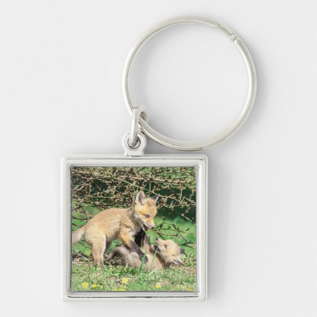 Red Fox Kits Playing Key Ring (Front)