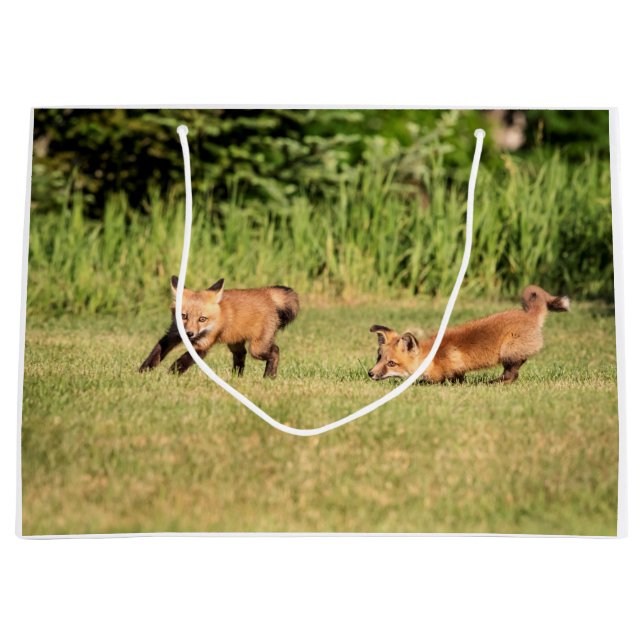 Red Fox Kits Playing Large Gift Bag (Front)