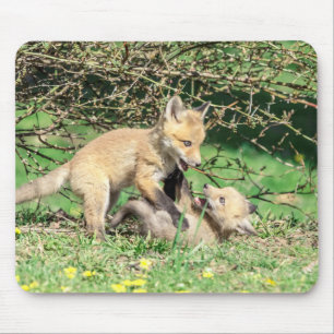 Red Fox Kits Playing Mouse Mat