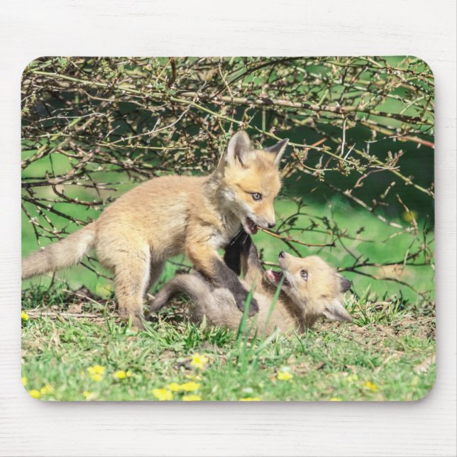 Red Fox Kits Playing Mouse Mat (Front)