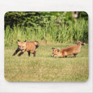 Red Fox Kits Playing Mouse Mat