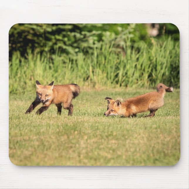 Red Fox Kits Playing Mouse Mat (Front)