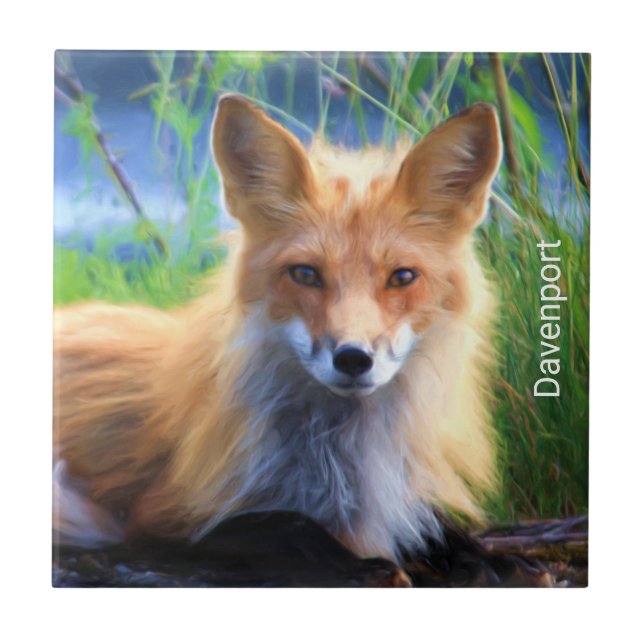 Red Fox Laying in the Grass Scenic Personalised Tile (Front)