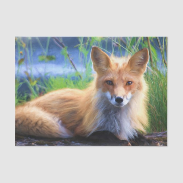 Red Fox Laying in the Grass Scenic Wildlife Tissue Paper (Front)