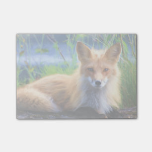 Red Fox Laying in the Grass Wildlife Image Post-it Notes