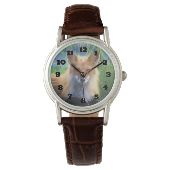 Red Fox Laying in the Grass Wildlife Image Watch (Front)