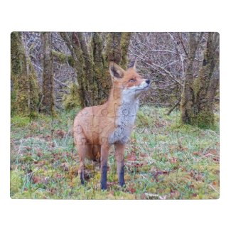 Red Fox Looking Up Acrylic Jigsaw Puzzle