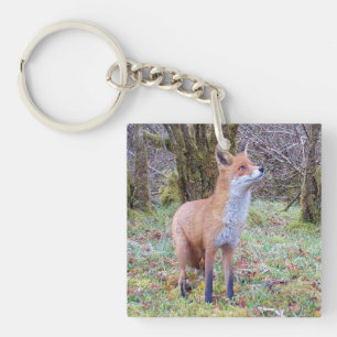 Red Fox Looking Up Wildlife Woodland Animal Nature Key Ring