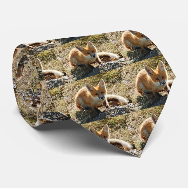 Red Fox Men's Tie (Rolled)