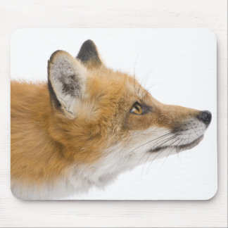 Red fox mouse mat
