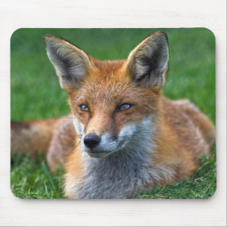 Red Fox Mousemat