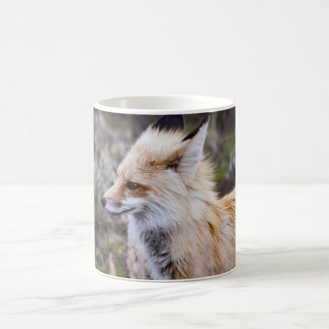 Red Fox - Mugs (Center)