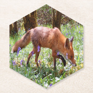 Red Fox Nature Inspired Blooming Bluebells Forest Paper Coaster