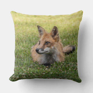 Red Fox On A Bed Of Clover Cushion