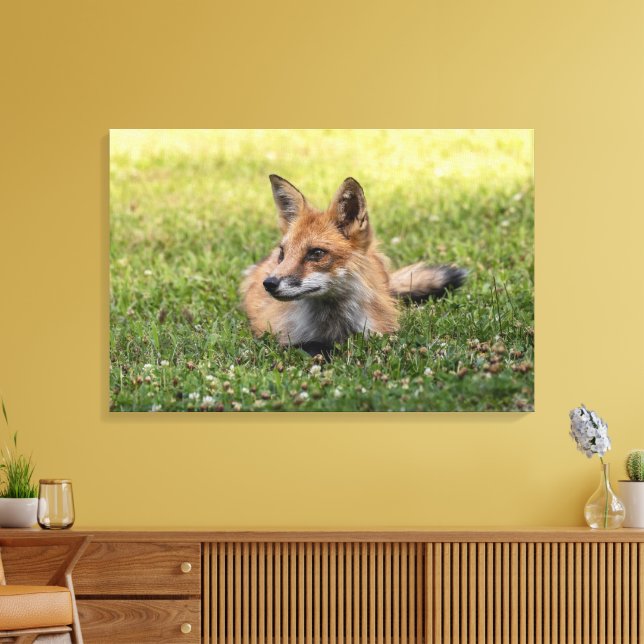 Red Fox On A Bed Of Clover (Horizonal) Canvas Print (Insitu(LivingRoom))
