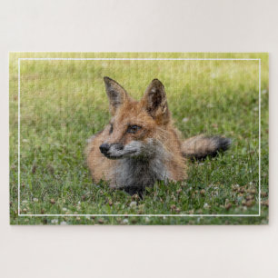 Red Fox On A Bed Of Clover (Horizonal) Jigsaw Puzzle