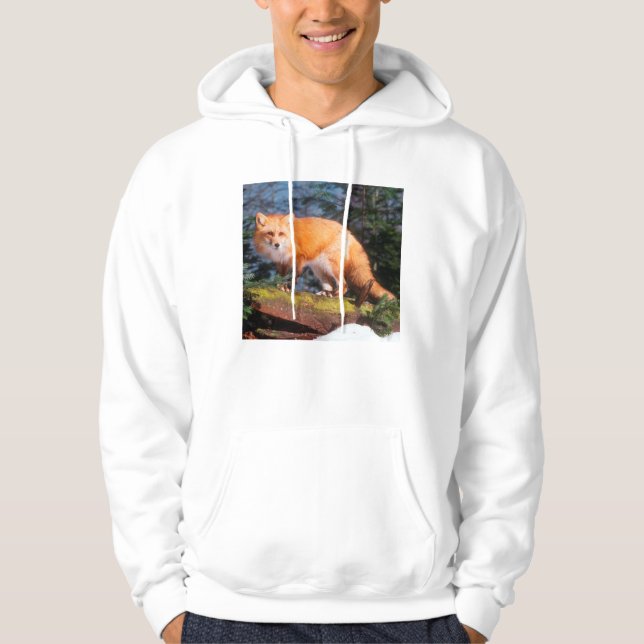 Red Fox on a log Hoodie (Front)