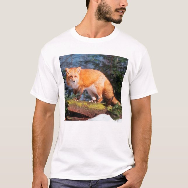 Red Fox on a log T-Shirt (Front)