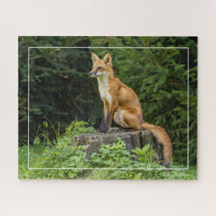 Red Fox On A Pedestal  Jigsaw Puzzle