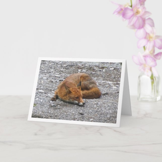 Red Fox on Road Card (Orchid)