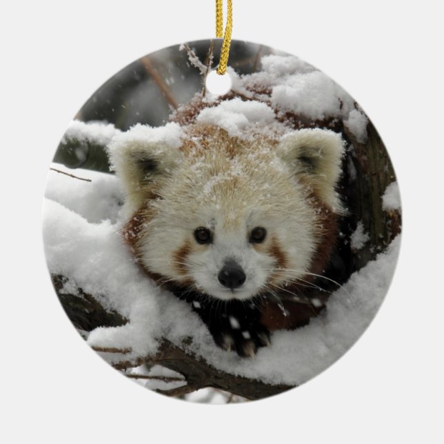 Red Fox Panda Bearcub Ceramic Tree Decoration (Front)
