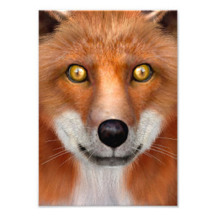 Red Fox Photo Print