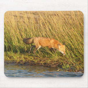 Red Fox Photograph Mouse Mat