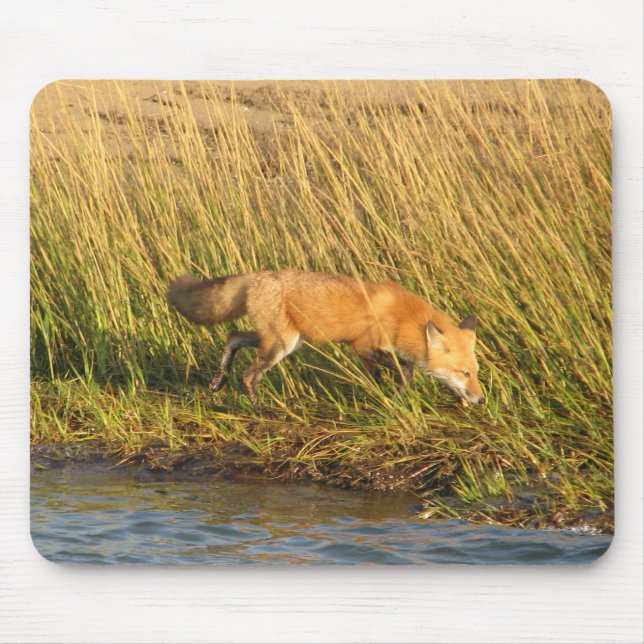 Red Fox Photograph Mouse Mat (Front)