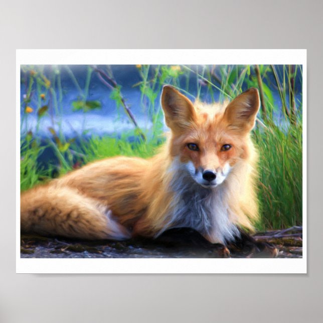 Red Fox Portrait From A Watercolour Painting Poster (Front)