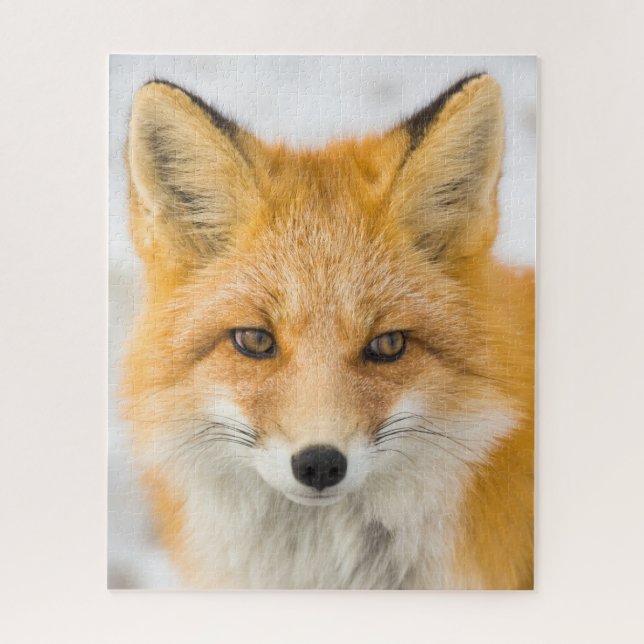 Red Fox Portrait Jigsaw Puzzle (Vertical)