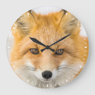 Red Fox Portrait Large Clock