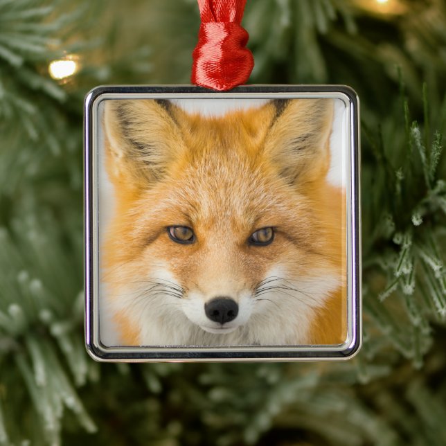 Red Fox Portrait Metal Tree Decoration (Tree)