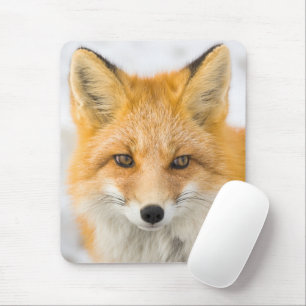 Red Fox Portrait Mouse Mat