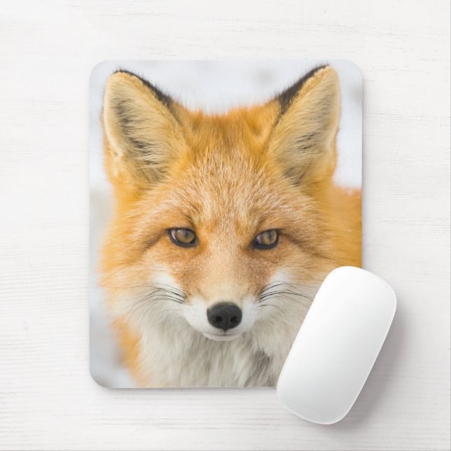 Red Fox Portrait Mouse Mat (With Mouse)