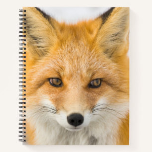 Red Fox Portrait Notebook