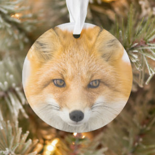 Red Fox Portrait Ornament