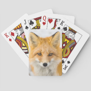Red Fox Portrait Playing Cards
