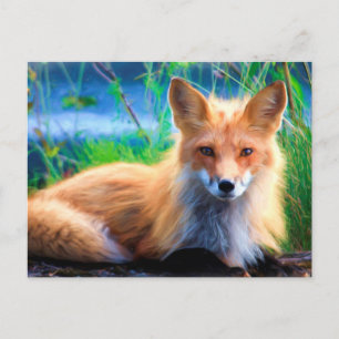Red Fox Postcard