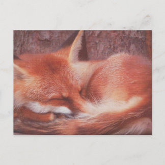Red Fox POSTCARD