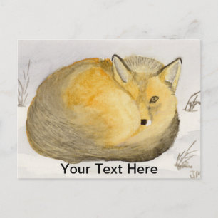 Red Fox Postcard