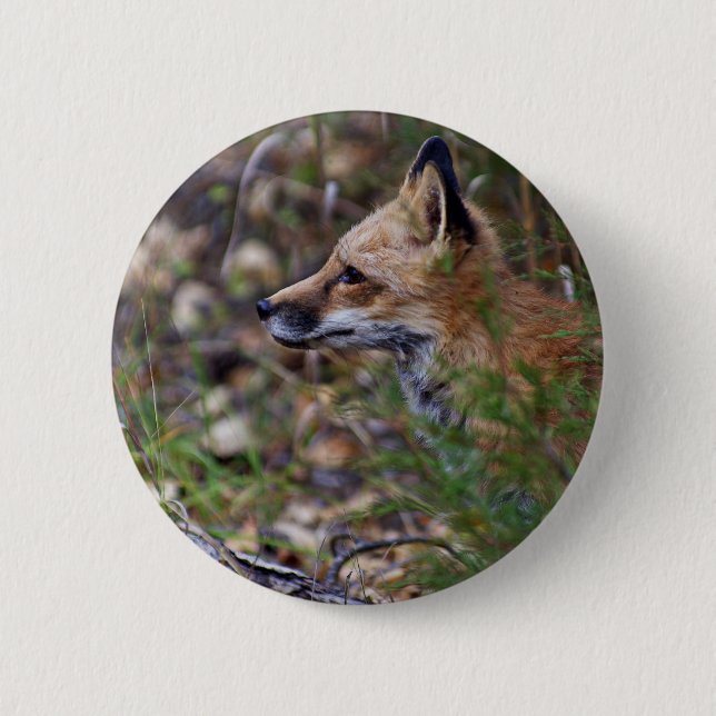 Red Fox - Profile of a Fox 6 Cm Round Badge (Front)