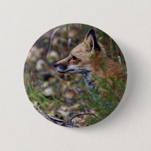 Red Fox - Profile of a Fox 6 Cm Round Badge