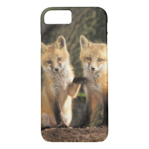 Red Fox pup in front of den Vulpes vulpes) iPhone 8/7 Case