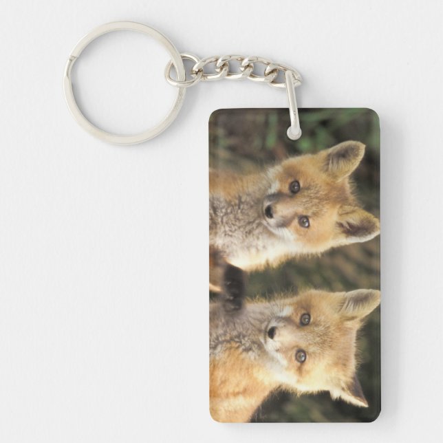 Red Fox pup in front of den Vulpes vulpes) Key Ring (Front)
