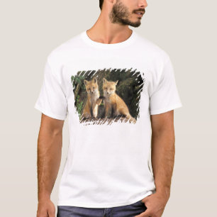 Red Fox pup in front of den Vulpes vulpes) T-Shirt
